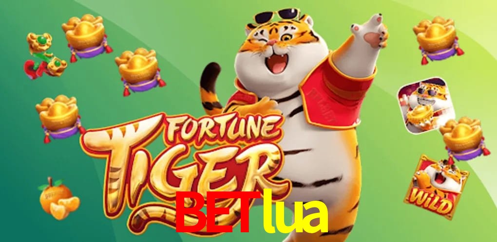 Experiência VIP betlua